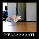 Иван Кочеров