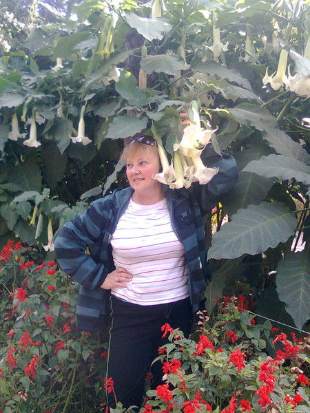 Елена Бозоянц