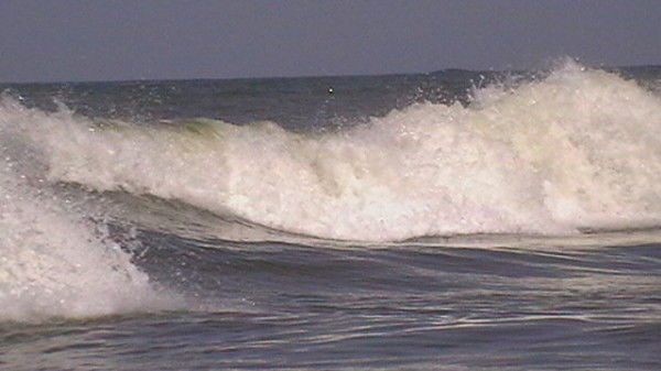 Евгений Панов