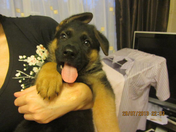 Алеся Дианова