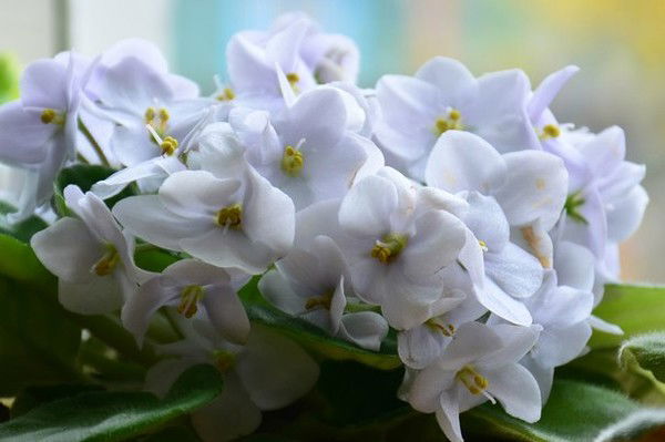 Ош №3 Г. Аксая Бурлинского Р-На