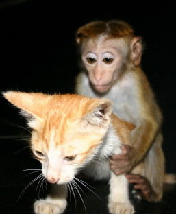 Саня Гуськов