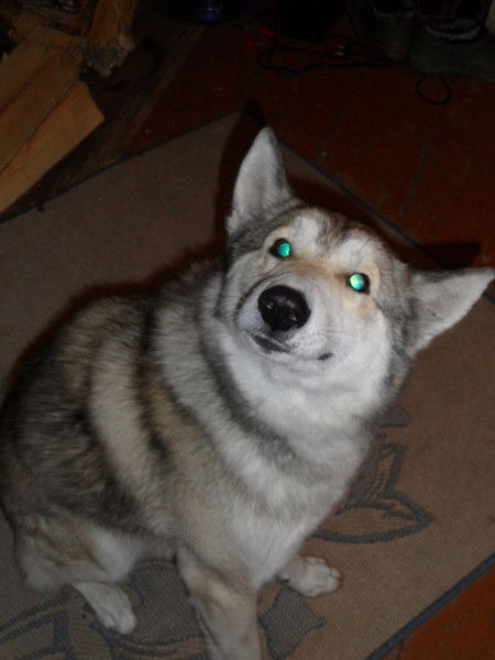 Евгений Романец