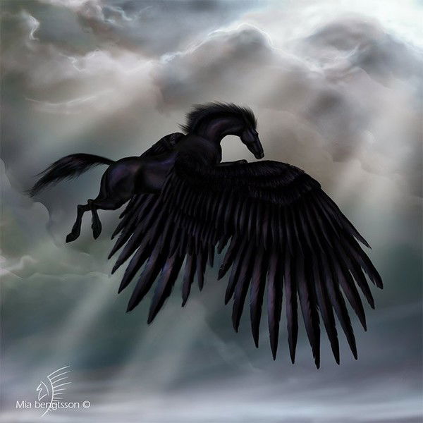 Якунина Олеся