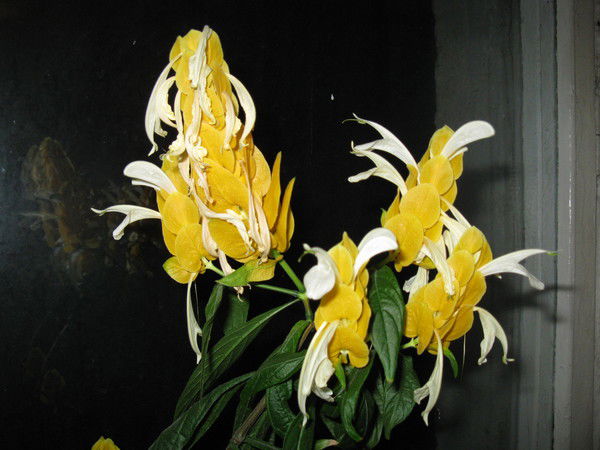 Татьяна Рамьянова