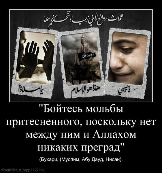 Роман Карчаев