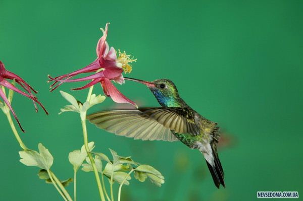 Сергей Иванов