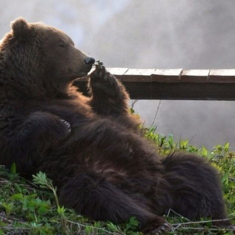 Марина Гибадуллина