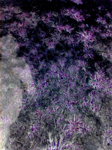 Маша Исакова