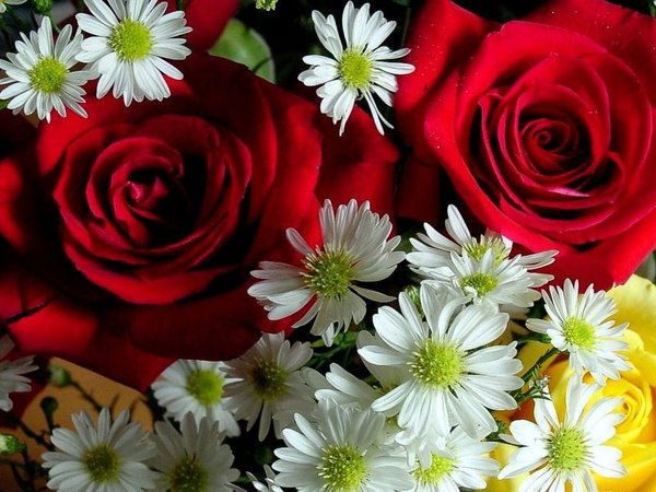 Данагуль Лайык