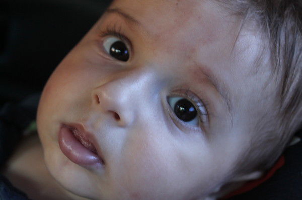 Анна Семенец