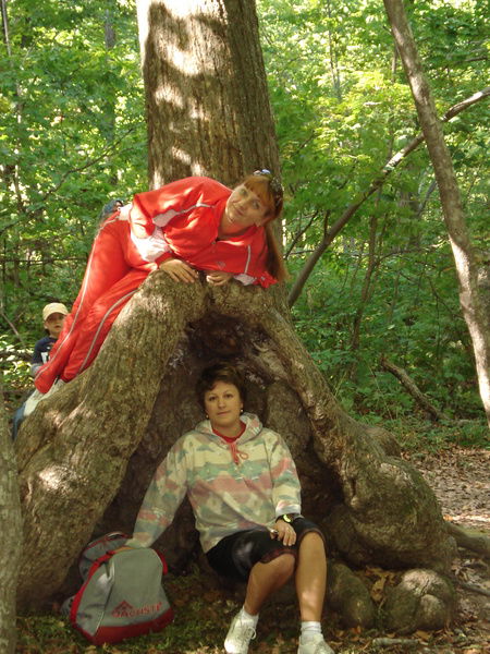 Лариса Ащина