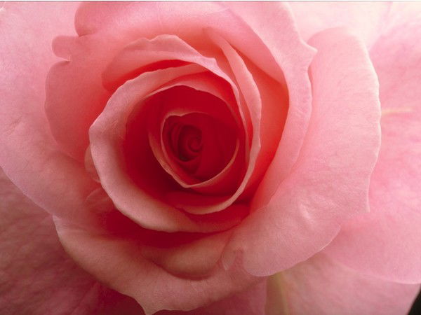 Айгерім **********