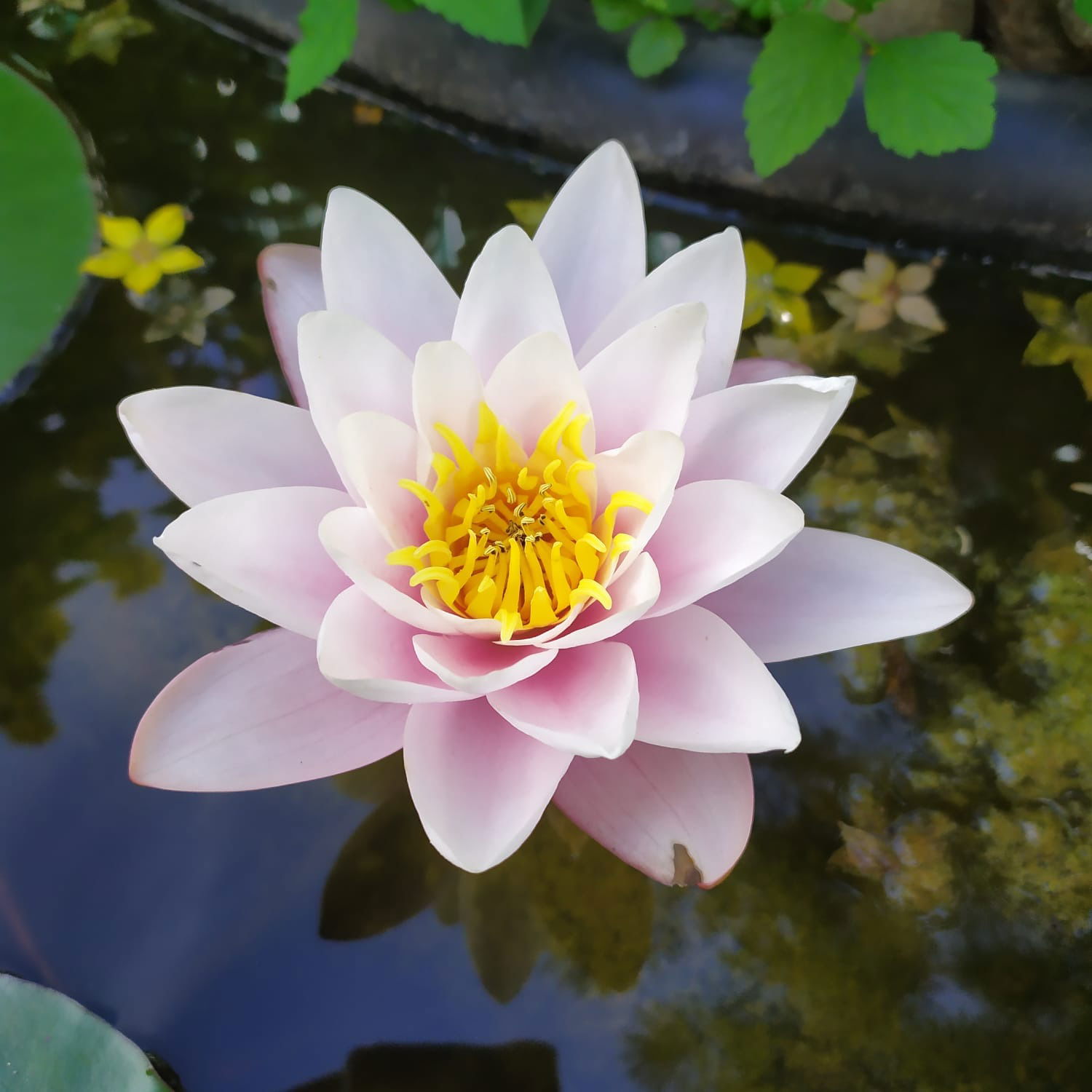 Татьяна Величко