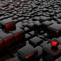 Даня Сидоров