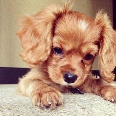 София Миняйло