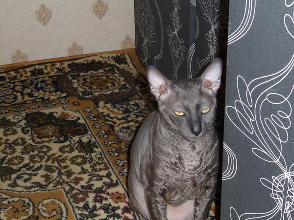 Василий Проценко