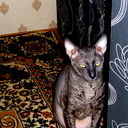 Василий Проценко