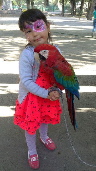 Юлия Жилкова/гергерт