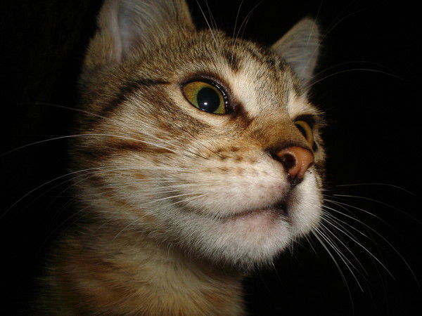 Наталья Оводова