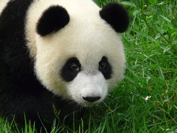 Мария Осипенко