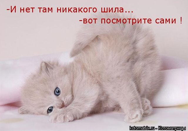 Елена Малахова