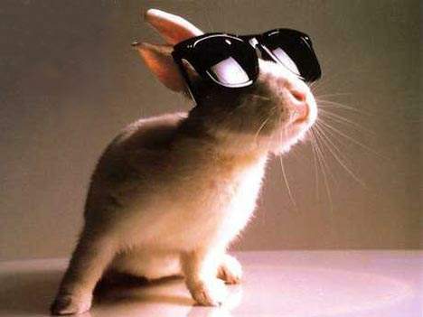 Вера Грудцына