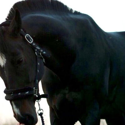 Даша Бодрикова