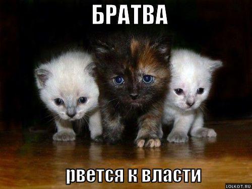 Ерканат Uzkanov