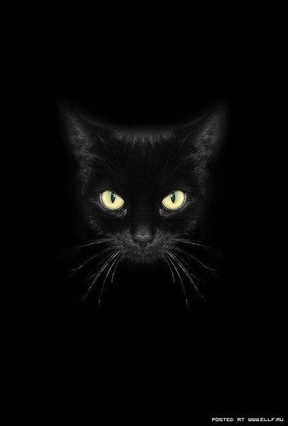 Татьяна Демиденко