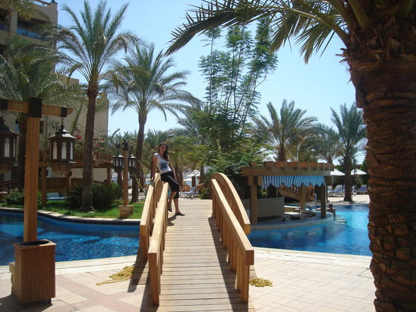 Анастасия Светлицкая