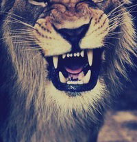 Дмитрий Иванов