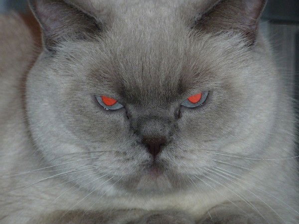 Дмитрий Блинов