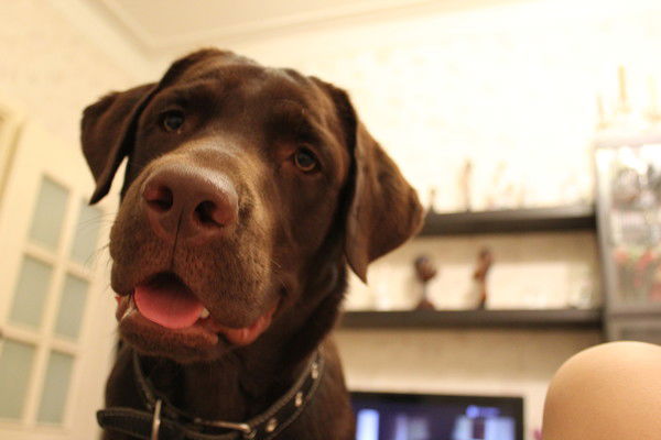 Вячеслав Нарушев