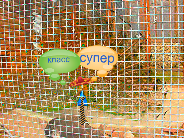 Юра Левойшин