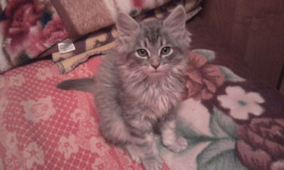 Геннадий Рудченко