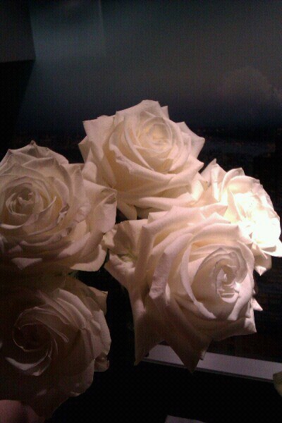 Катерина Митрофанова