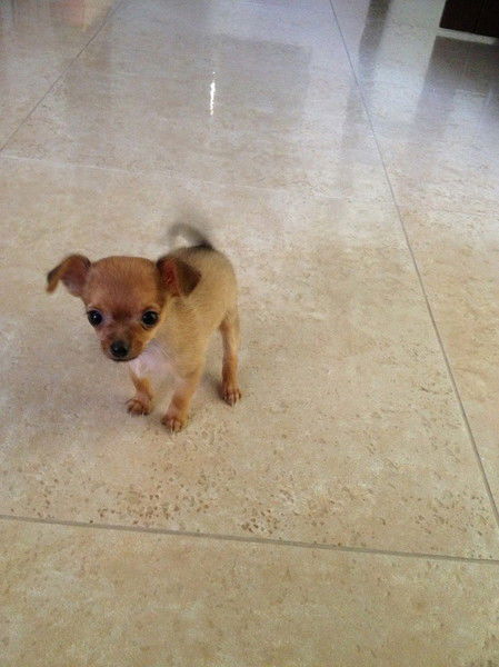 Александр Иванов