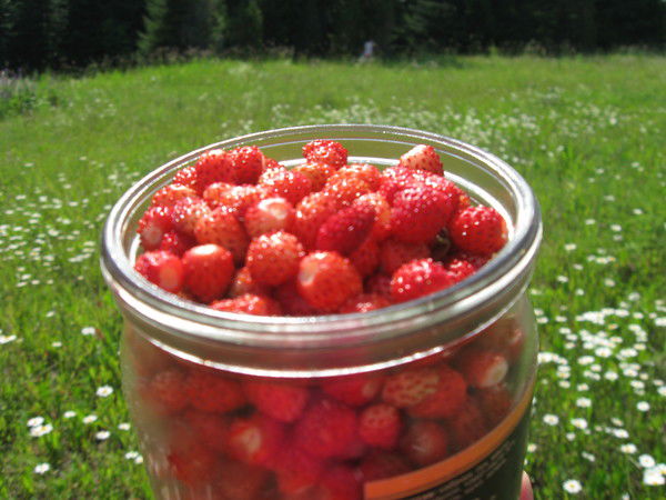 Гузель Касимова