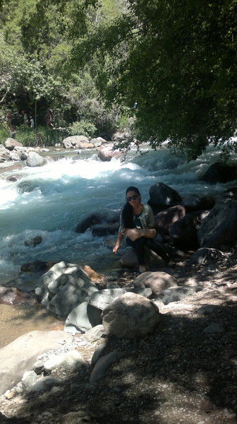 Раушан Алибекова