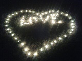 Елена Грядкина