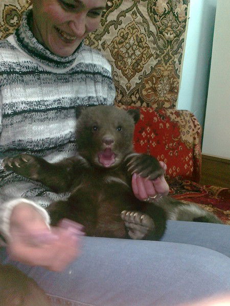 Марина Тищенко