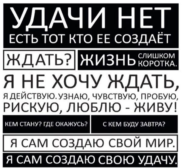 Максим Алексеев