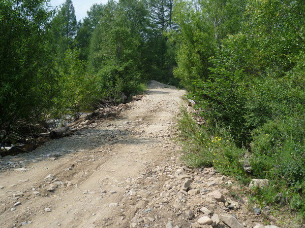 Александр Сергеенко