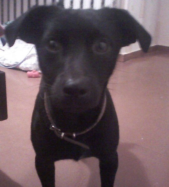 Виталий Дуда