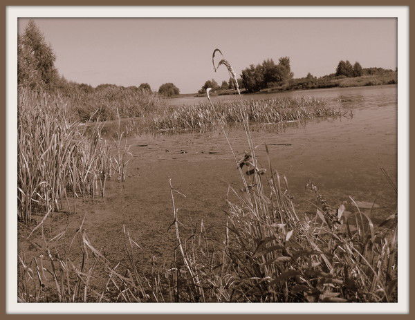 Киизо Присада Л.а.