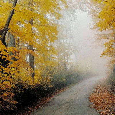 Анна Яковлева