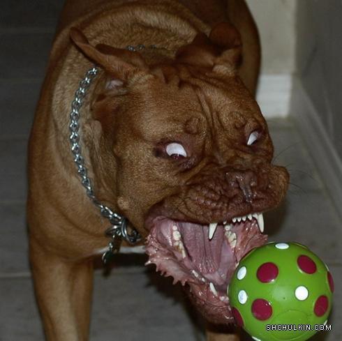 Александр Шавшуков