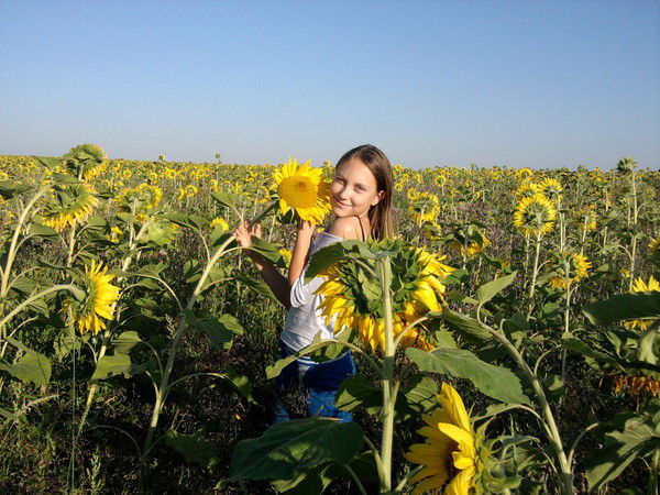 Алена Ткачева