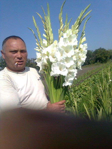 Евгений Беспалько